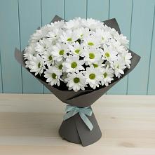 Букет цветов из:  Хризантемы #REPLACE_PRED# Велижи